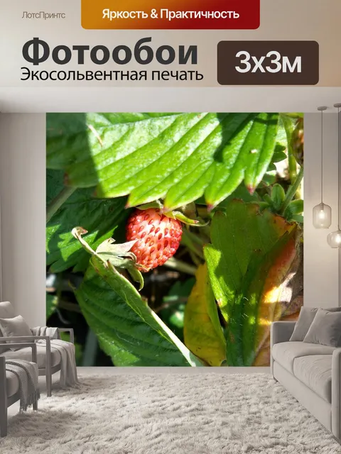 Фотообои Клубника