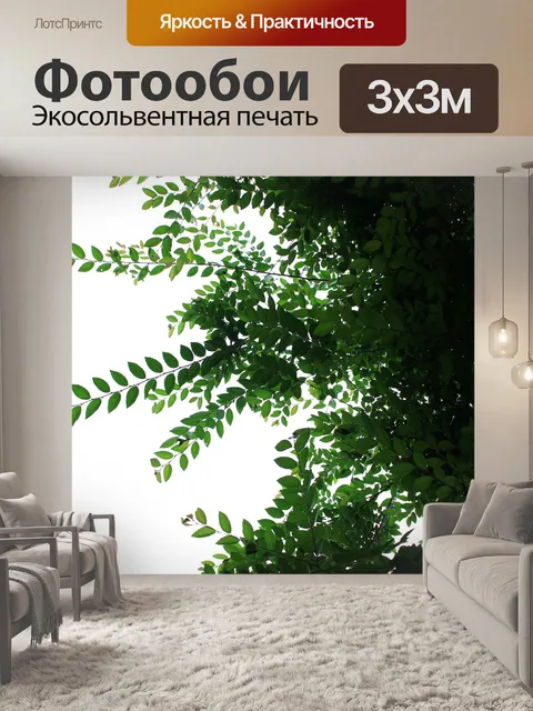 Фотообои Лист