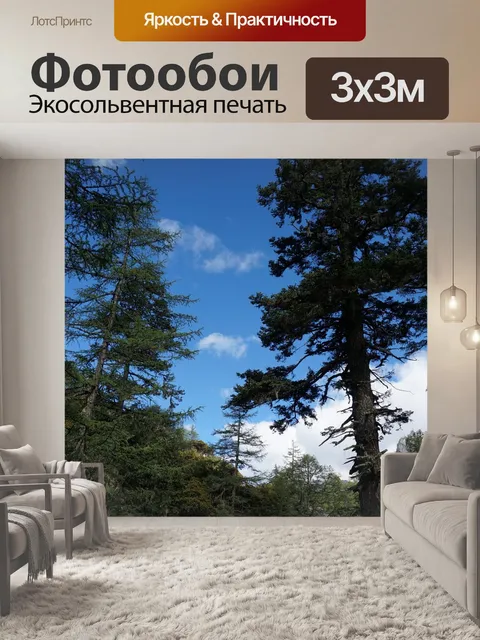 Фотообои Лес