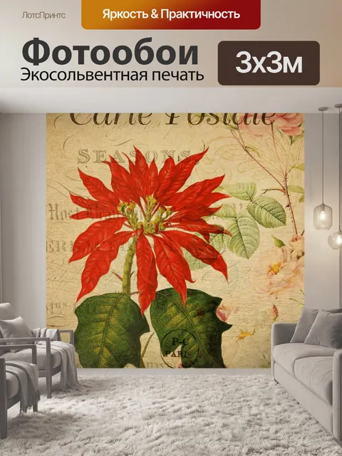 Фотообои Винтажная открытка с цветком пуансеттия
