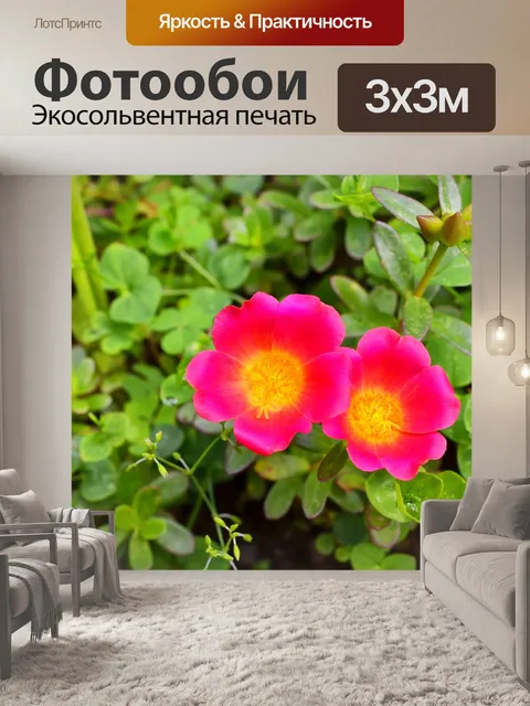 Фотообои Цветы