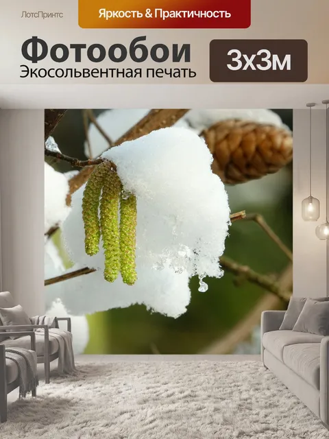Фотообои Дерево