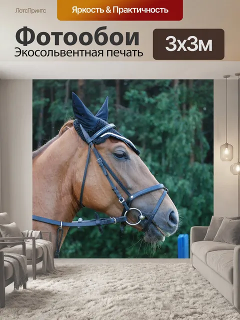 Фотообои Лошадь