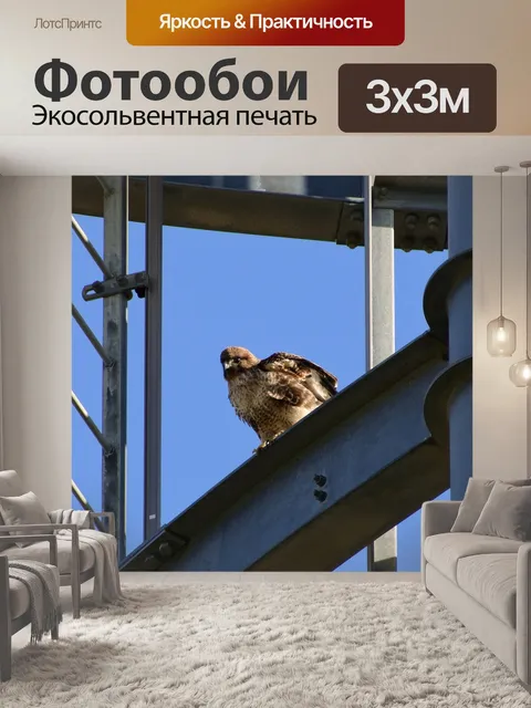 Фотообои Животное