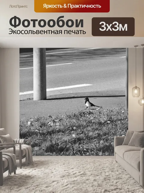 Фотообои Сорока на тротуаре
