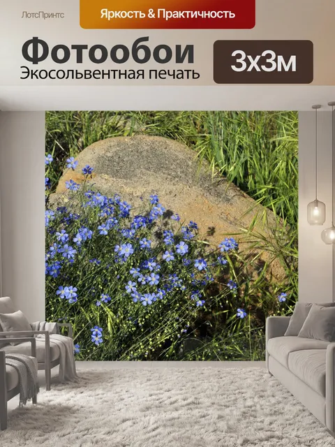 Фотообои Голубые цветы и скала