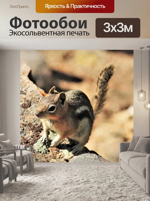 Фотообои Золотая мантийная земляная белка