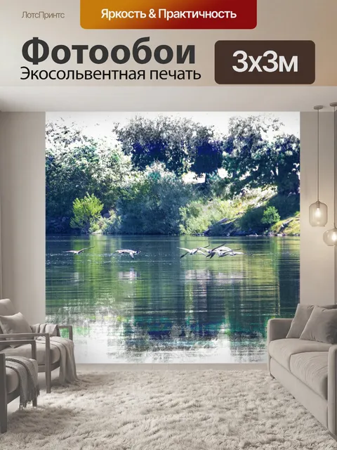 Фотообои птицы летают низко