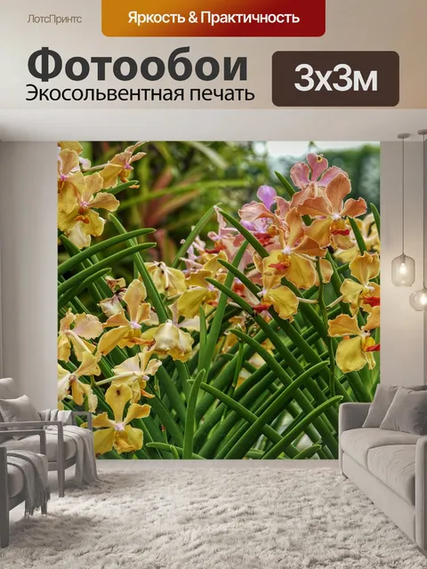 Фотообои Цветок