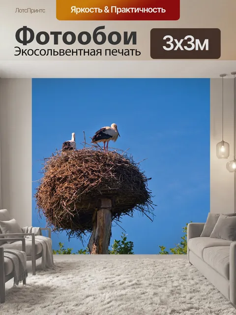 Фотообои Аист