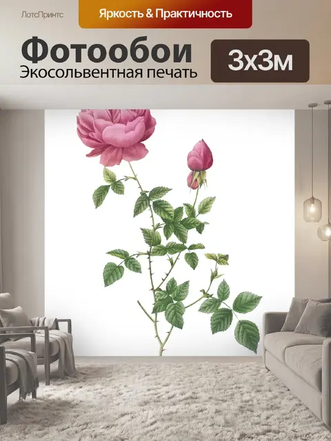 Фотообои Цветочный цветок старинное искусство