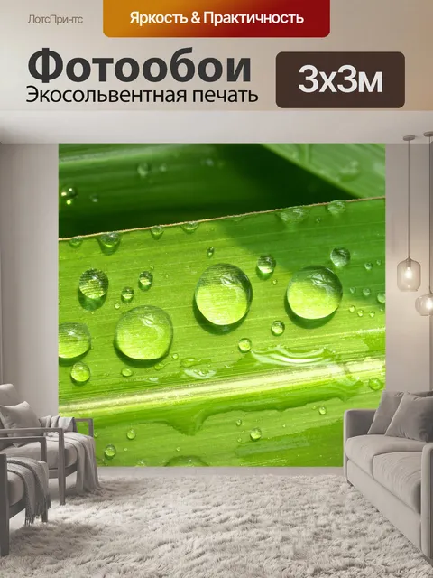 Фотообои Капля воды на листе