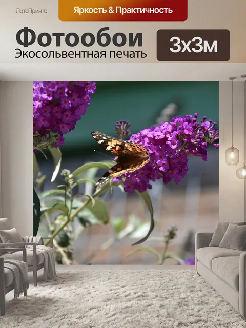Фотообои бабочка на лаванде