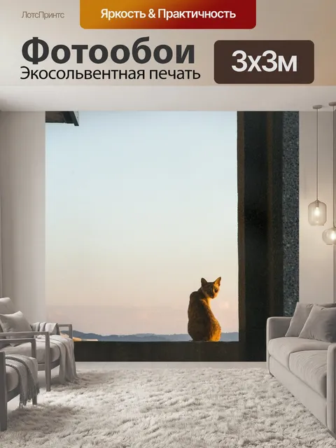 Фотообои Кот