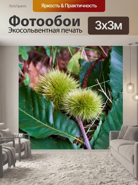 Фотообои каштаны