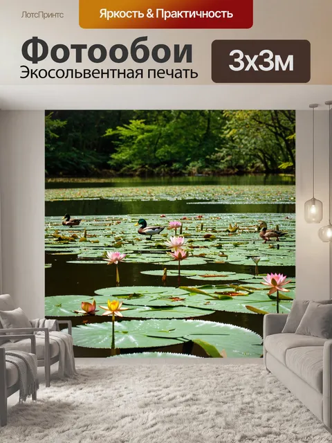 Фотообои озеро в лесной тени, с плавающими водными лилиями и утками, мирно исследующими его берега