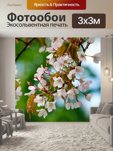 Фотообои Цветок