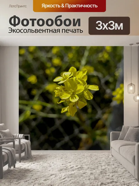 Фотообои Маленькие желтые полевые цветы