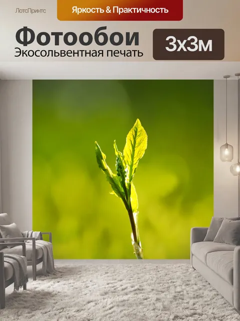 Фотообои Зеленые листья