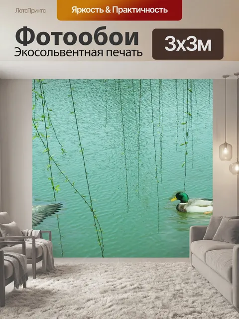 Фотообои Утка