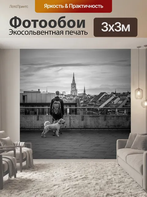 Фотообои Собака