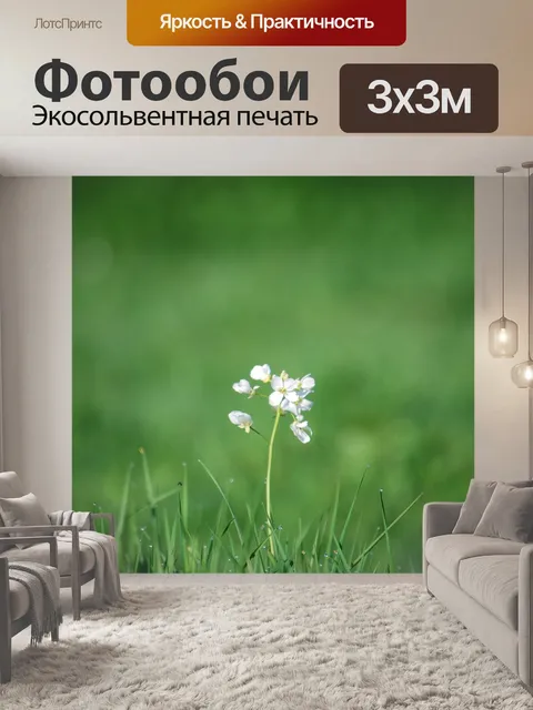 Фотообои Полевые цветы
