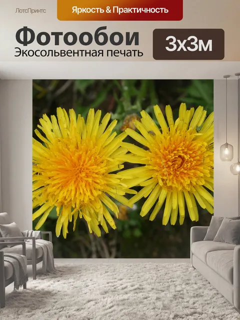 Фотообои Одуванчики