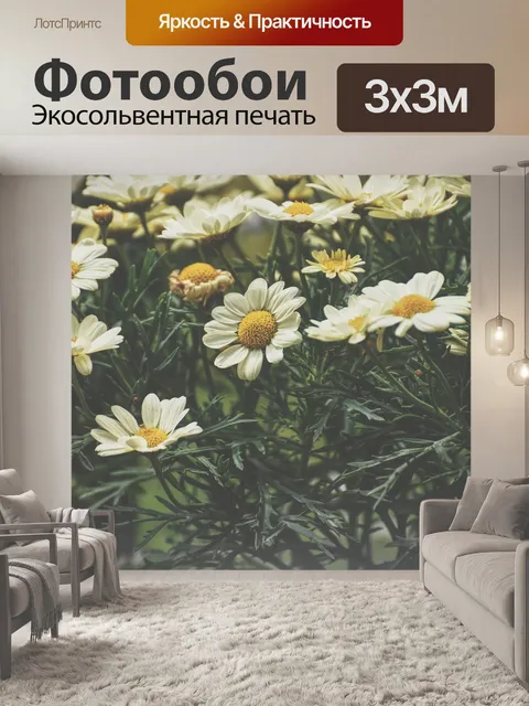Фотообои Маргаритки