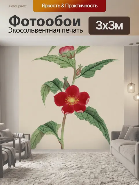 Фотообои Цветы