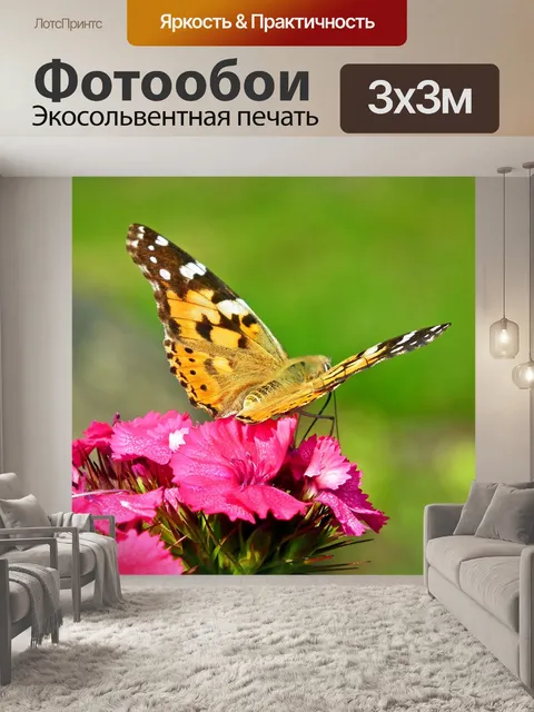 Фотообои Бабочка