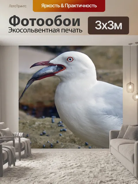 Фотообои Птица