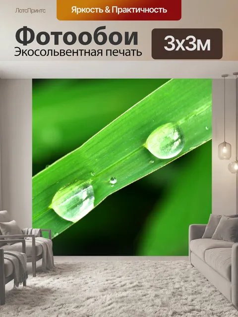Фотообои Капля воды на листе