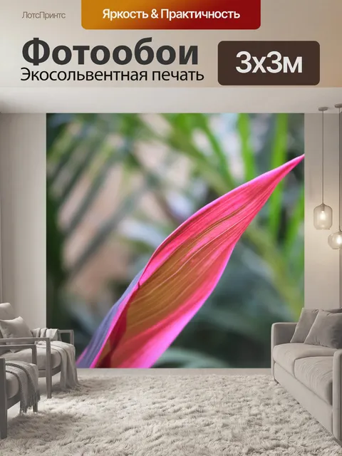 Фотообои Природа