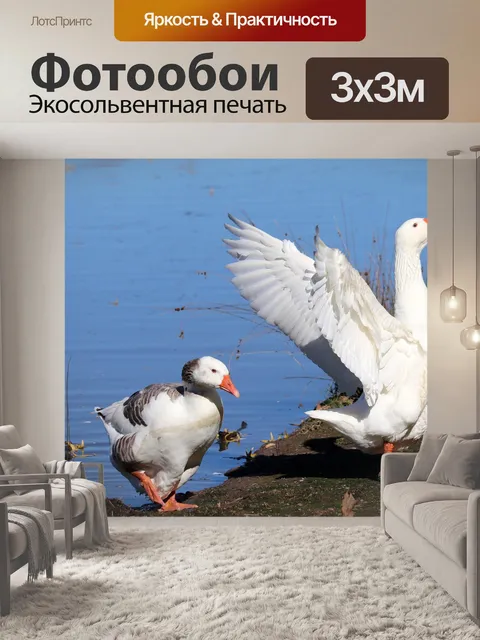 Фотообои Гуси