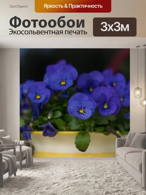 Фотообои Цветок