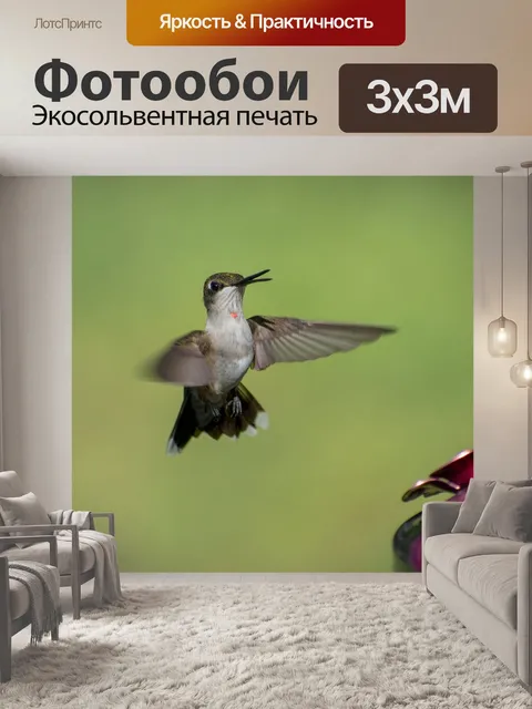 Фотообои Птица