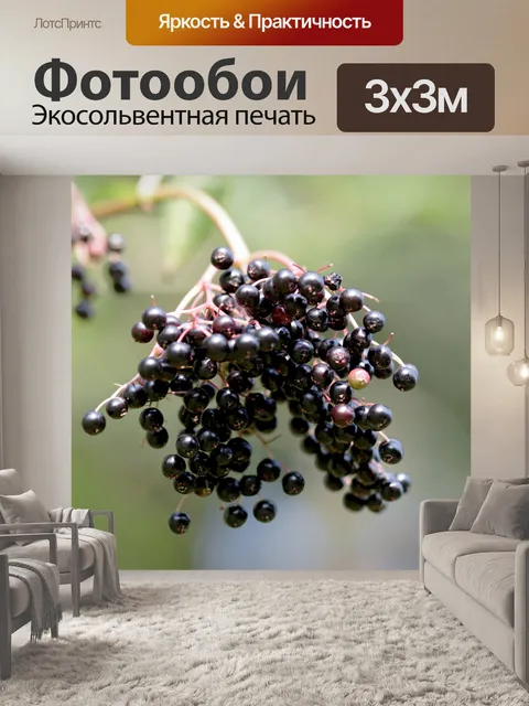 Фотообои смородина