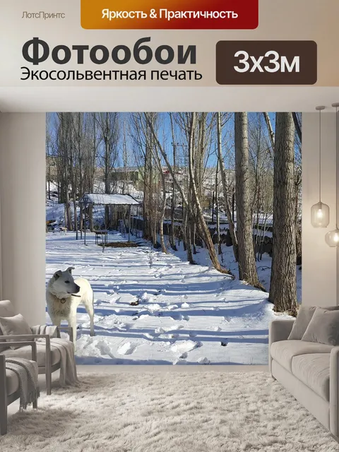 Фотообои Природа