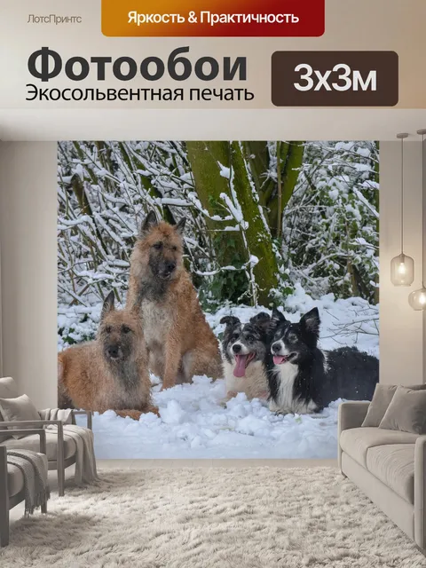 Фотообои Собаки