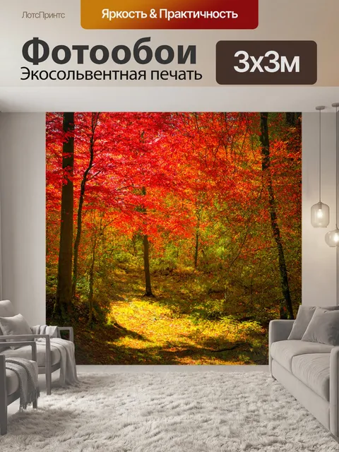 Фотообои лесная поляна с багряными клёнами, осенний пейзаж, лёгкий ветер