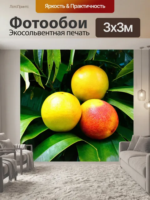Фотообои природа в стиле иллюстрация, показывающие сочные тропические фрукты под зелёными листьями