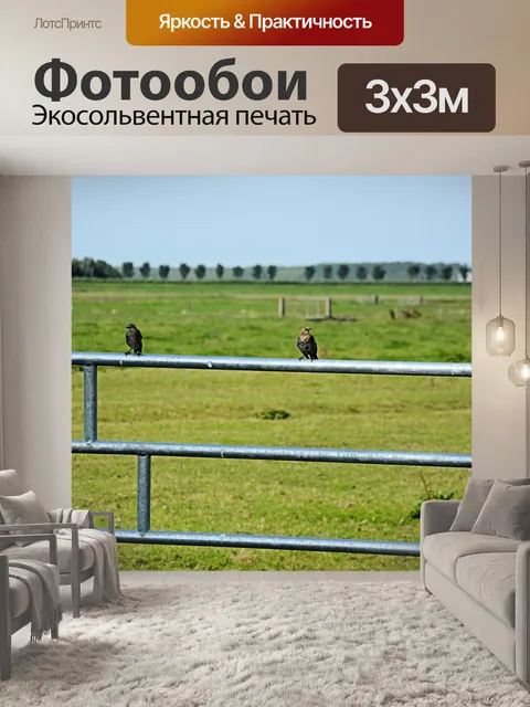Фотообои Птички