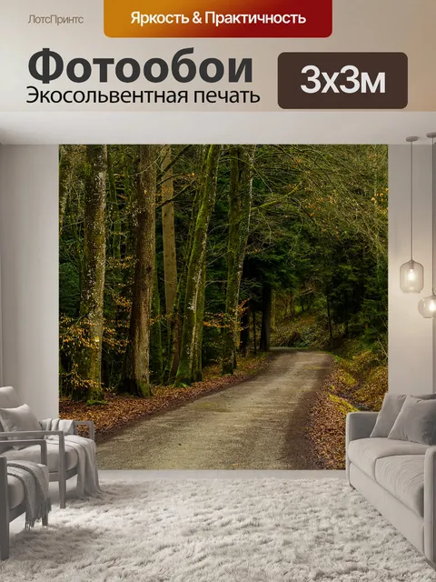 Фотообои Дорога