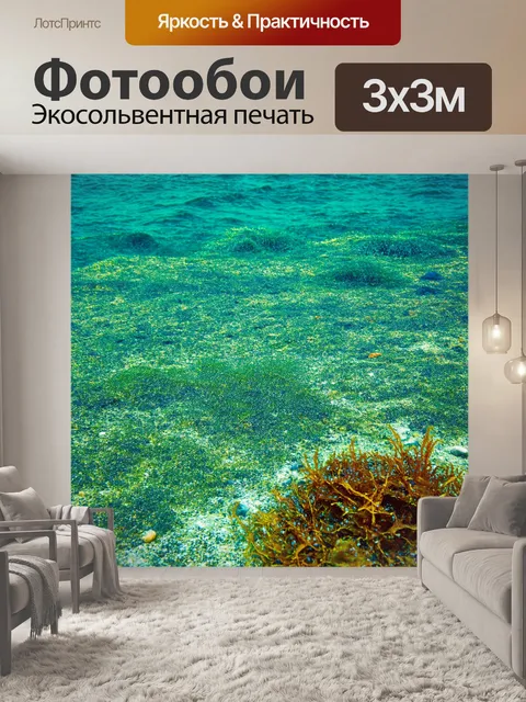 Фотообои море в стиле текстуры, контрастные текстуры водорослей и камней на дне океана