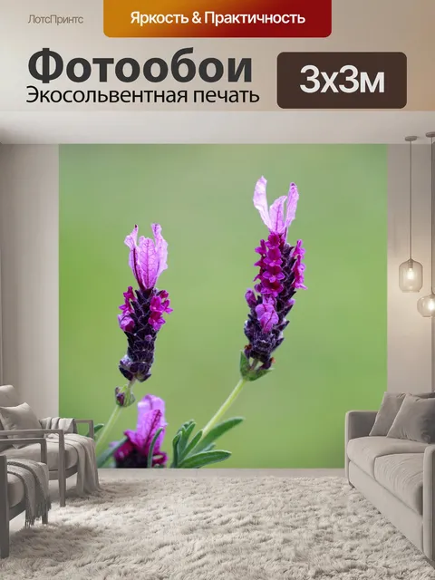 Фотообои Цветы