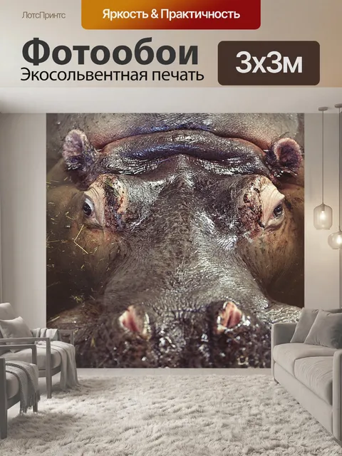 Фотообои Бегемот
