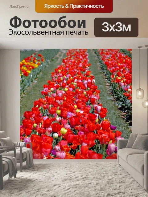 Фотообои Тюльпаны