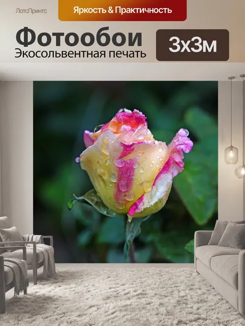Фотообои Осень