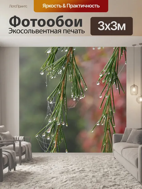 Фотообои Природа