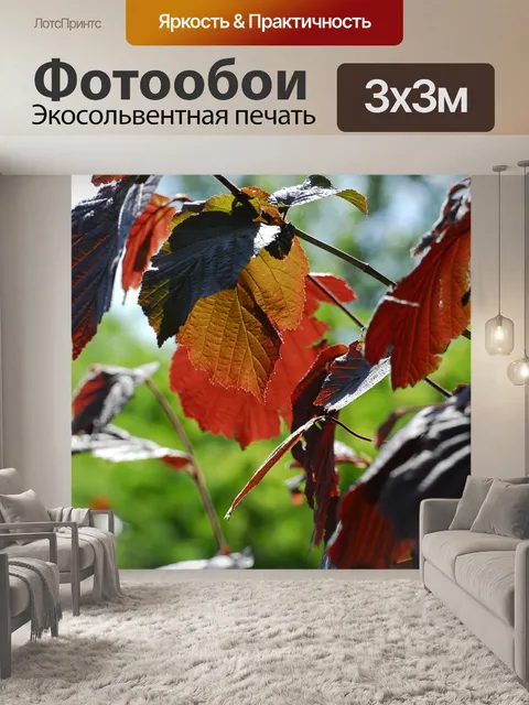 Фотообои Листья
